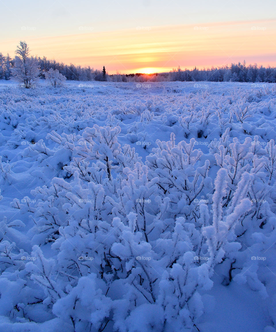 Winter, dawn, morning, winter dawn, winter morning, silence, sun, winter sun, frosty morning, frost, red, snow, frost, snowy road, frost, north, northern dawn sunset, snowflakes, color,