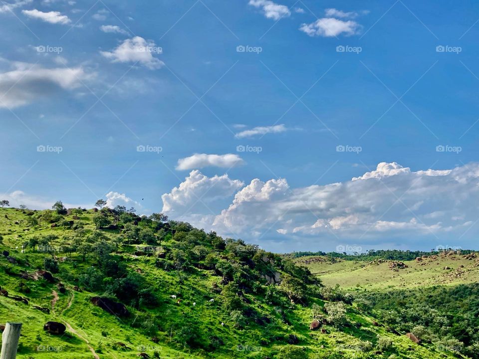 A belíssima paisagem do Interior de São Paulo: aqui, divisa de Itu com Cabreúva. 

A fotografia nos desestressa.