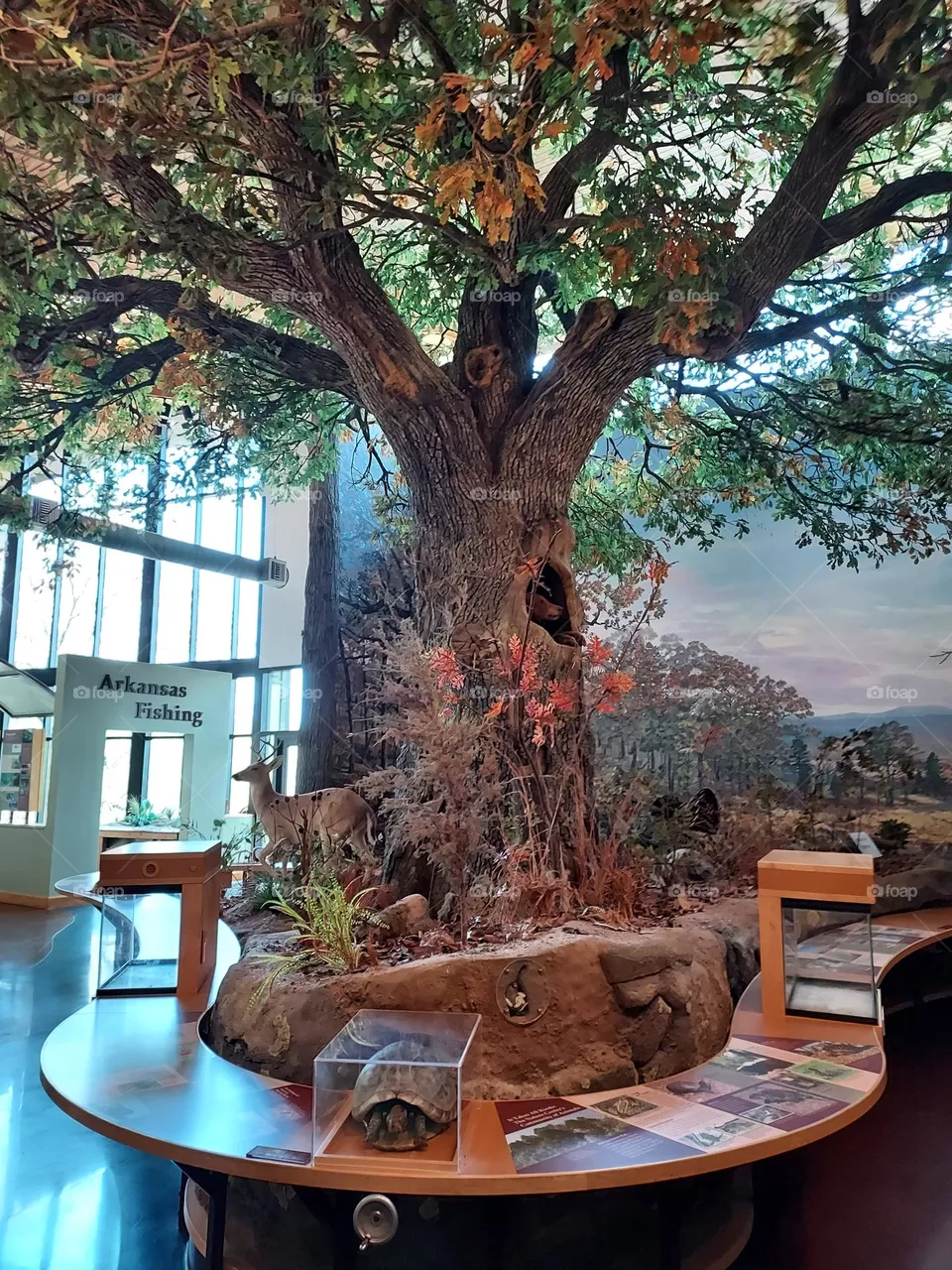 inside aquariums with different types of snakes and decorations and information about each one.