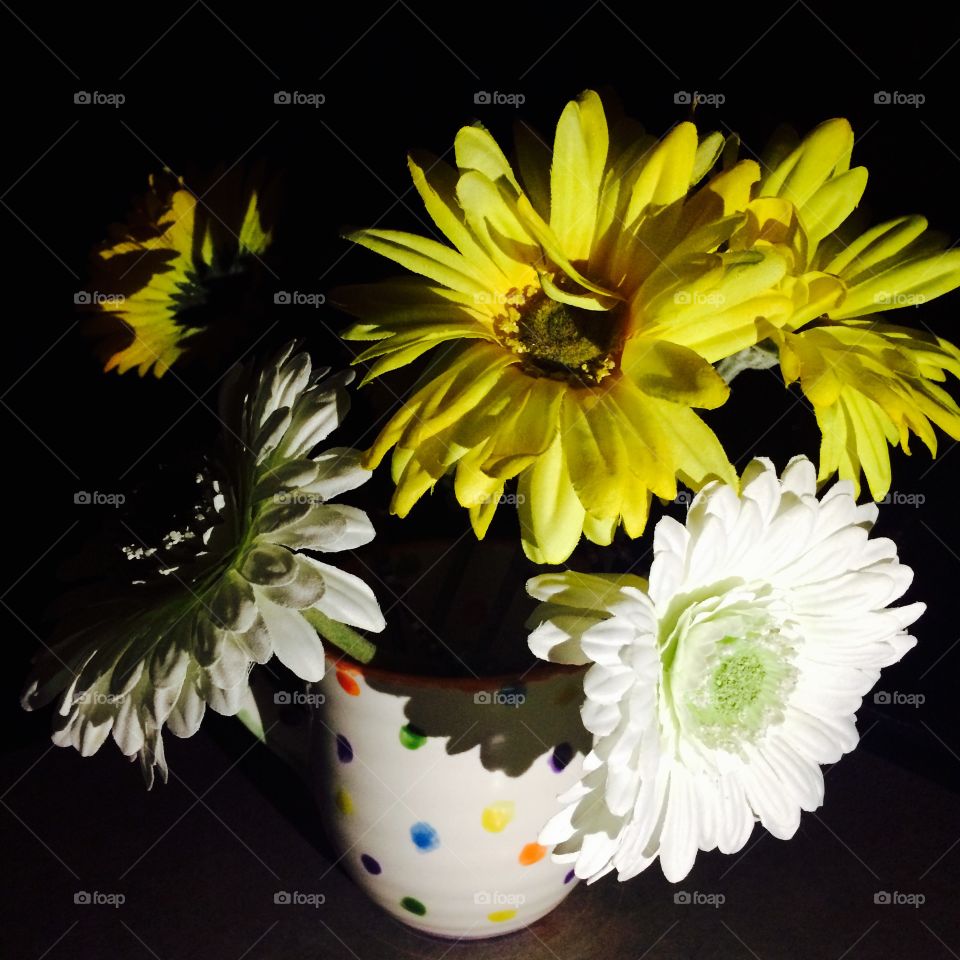Flowers  in mug
