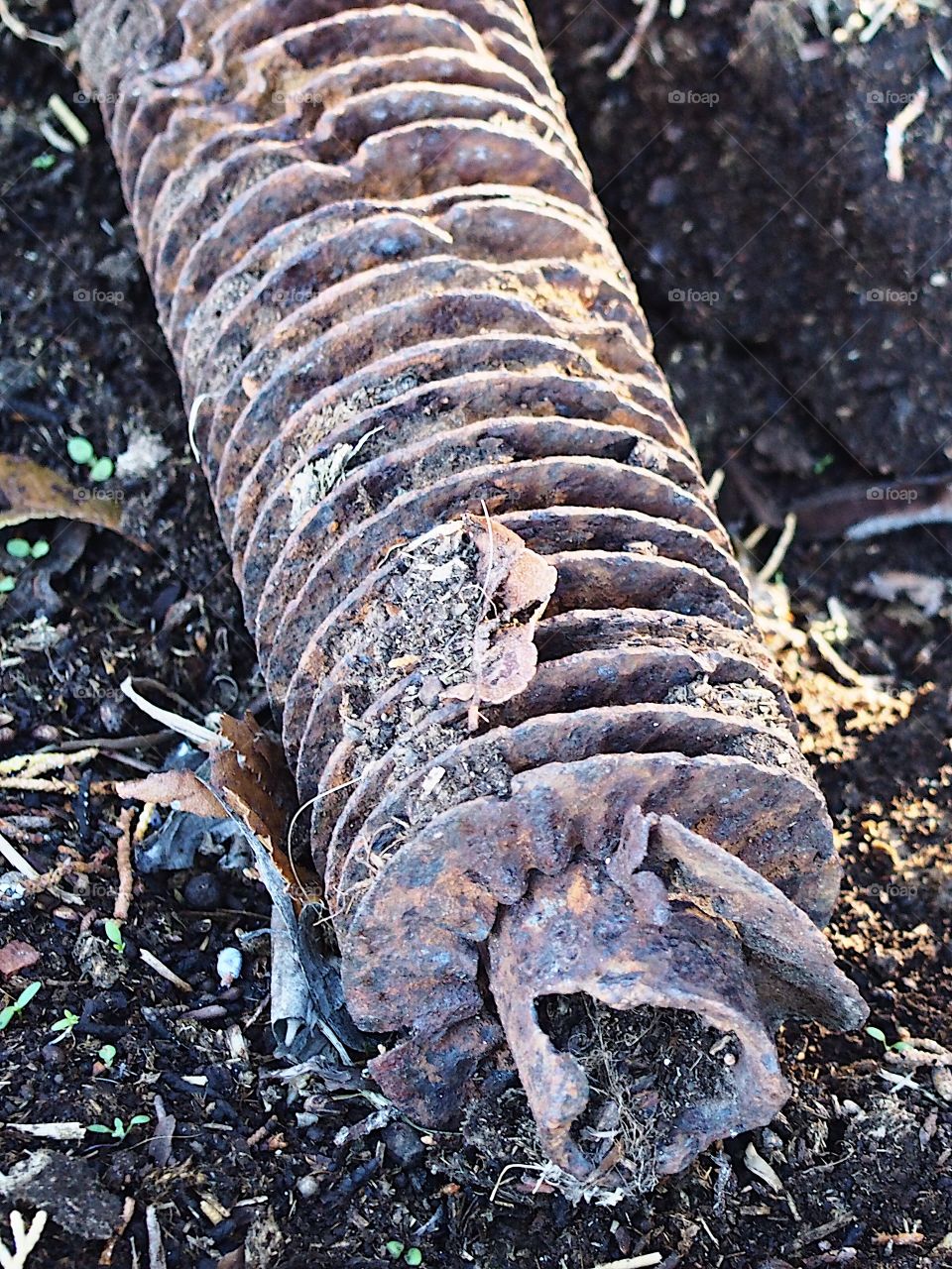 A large rusted fastener showing the history of the area abandoned at an old industrial site converted to a park in Central Oregon. 