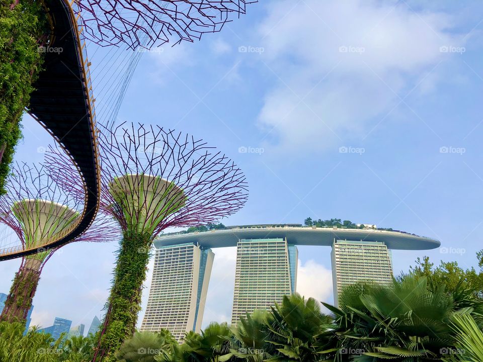 Looking up at the architectural marvel Marina by the Bay hotel resort from the nearby garden
