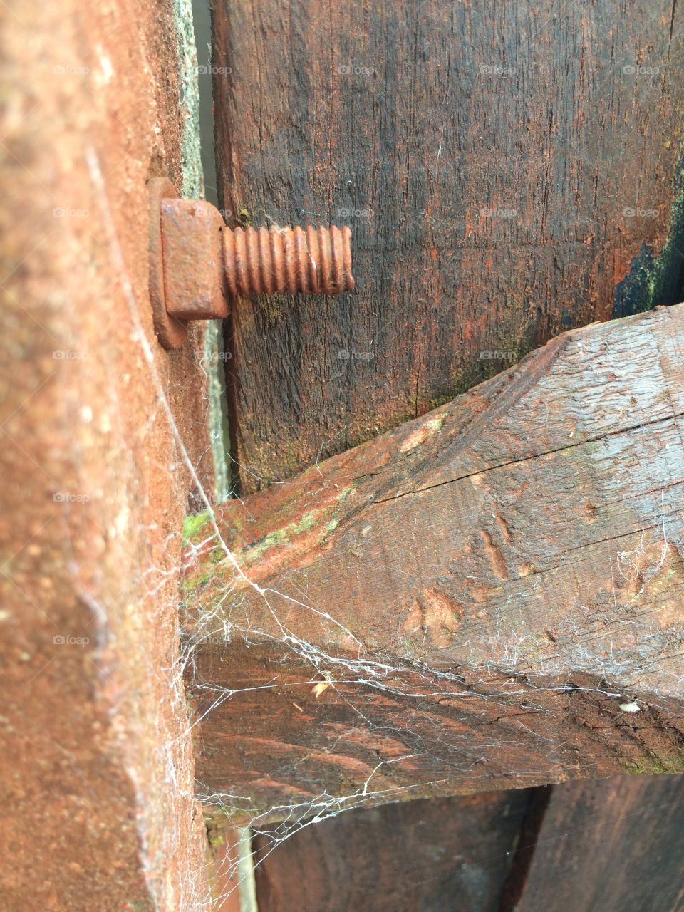 Rusty bolt in fence