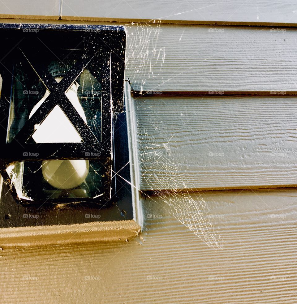 Light fixture and webs