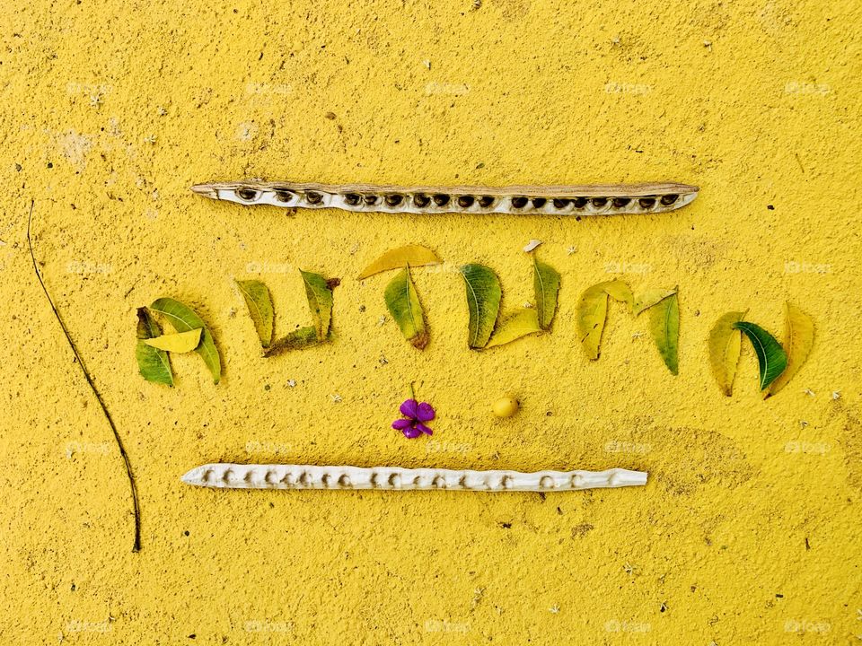 Writing autumn with leaves and seeds in a yellow floor 