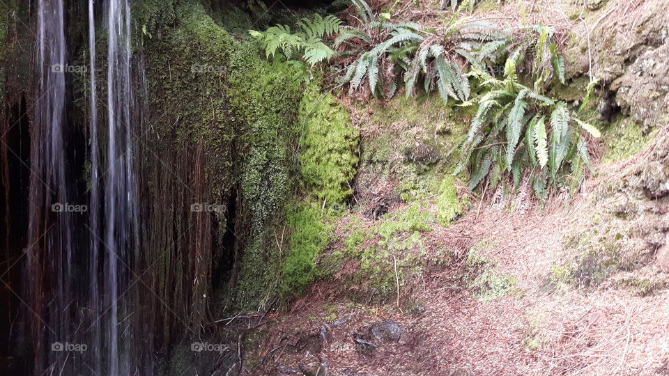 Waterfall in Wicklow mountains