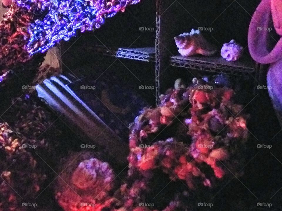 in a dark storage place