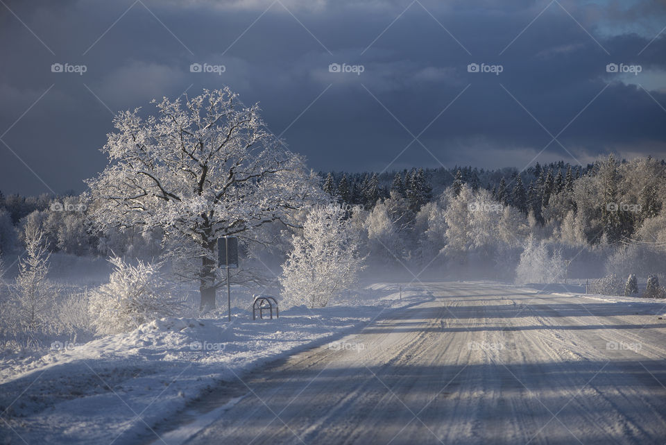 Winter road and bus stop