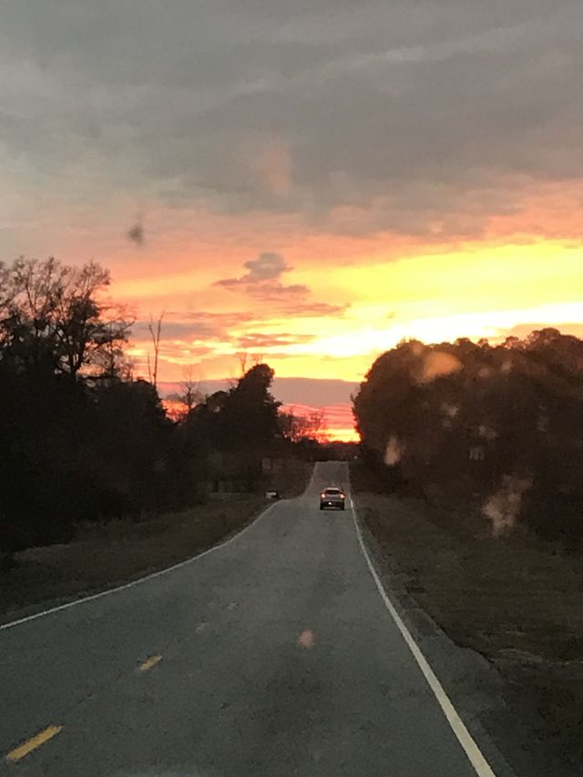 One of gods beautiful creations he has set in life for us to see! 