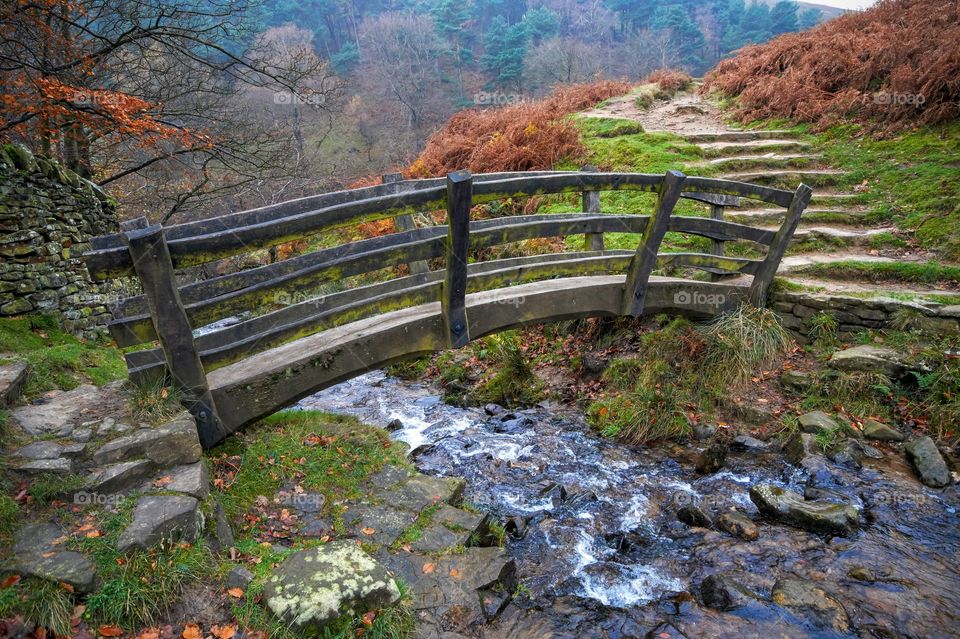 View of a bridge over stream