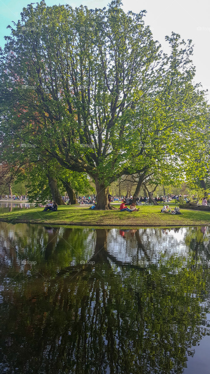 Vondelpark, Netherlands