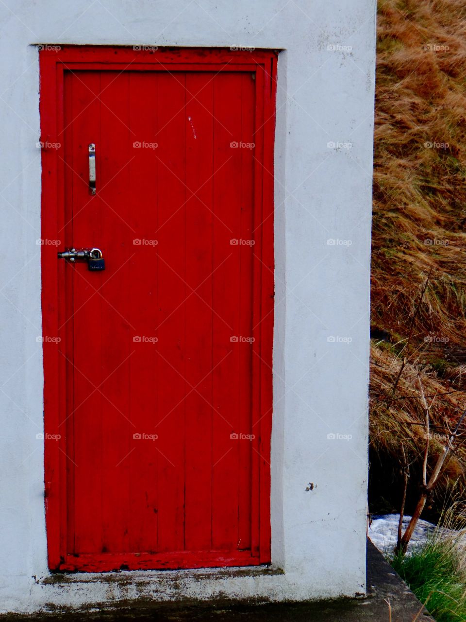 Red door
