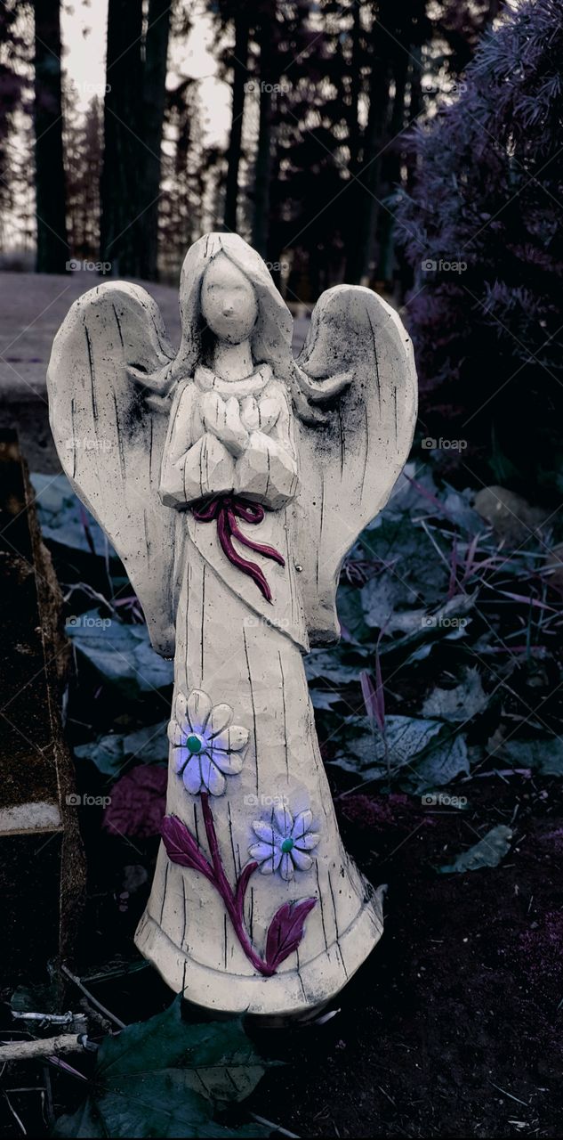 Ultra Violet Dreams 💜