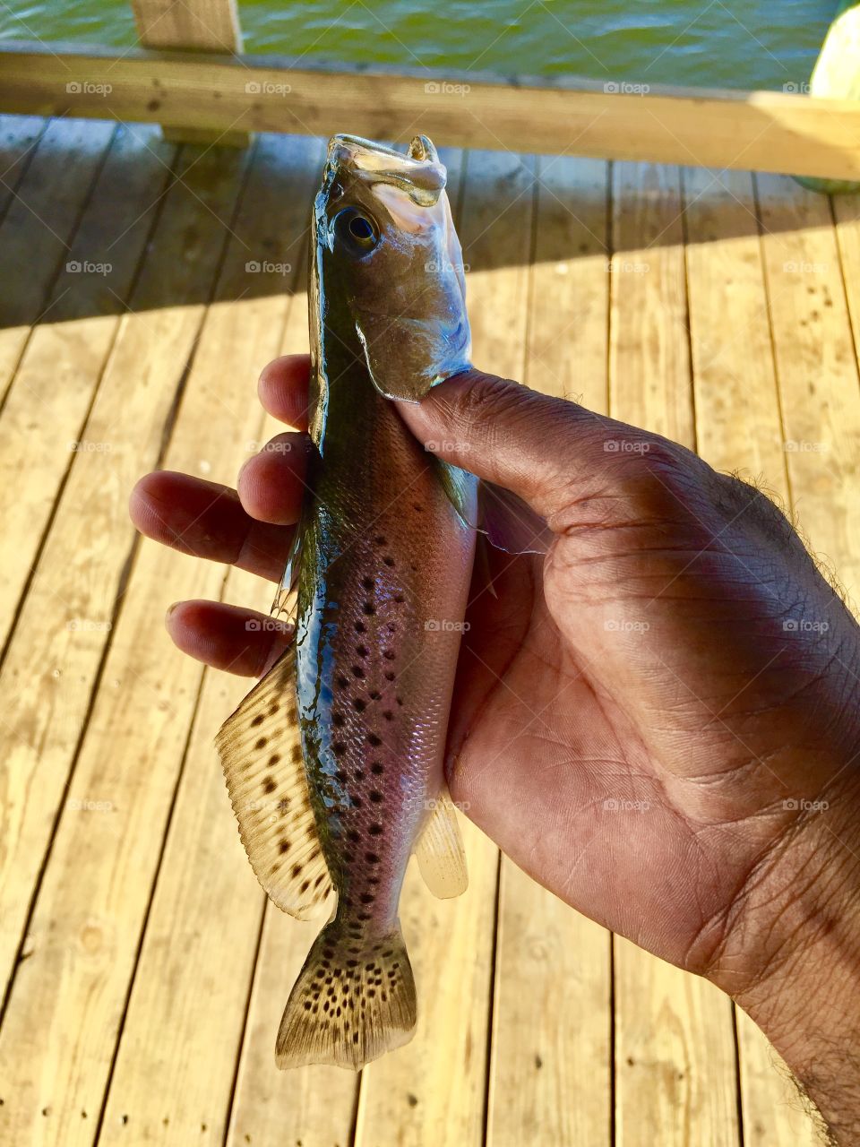 New year, new start. I want to be more in tune with the great outdoors this Jan2018, that’s my greatest New Year Resolution. 