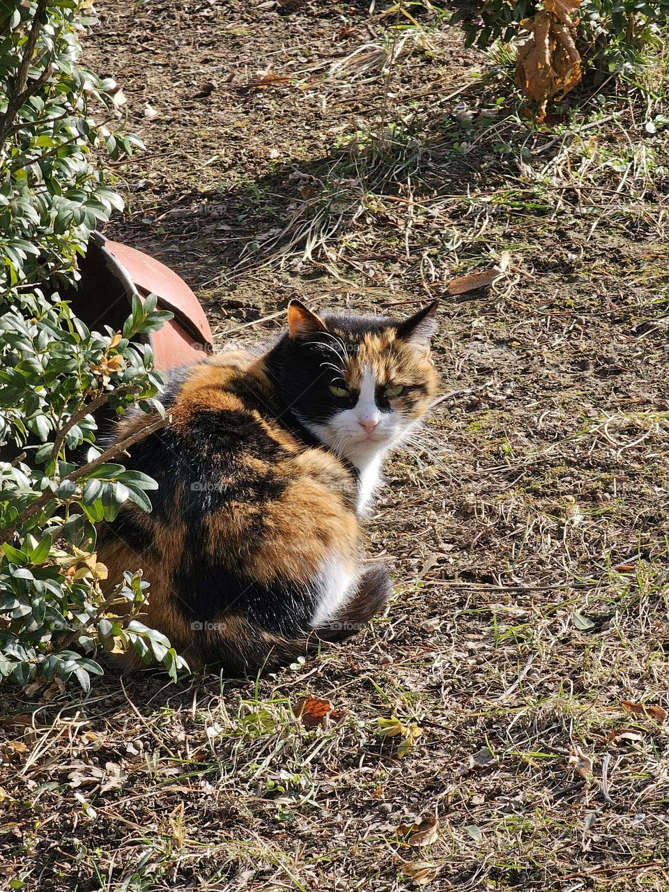 *bombastic side eye*
*grumpy*