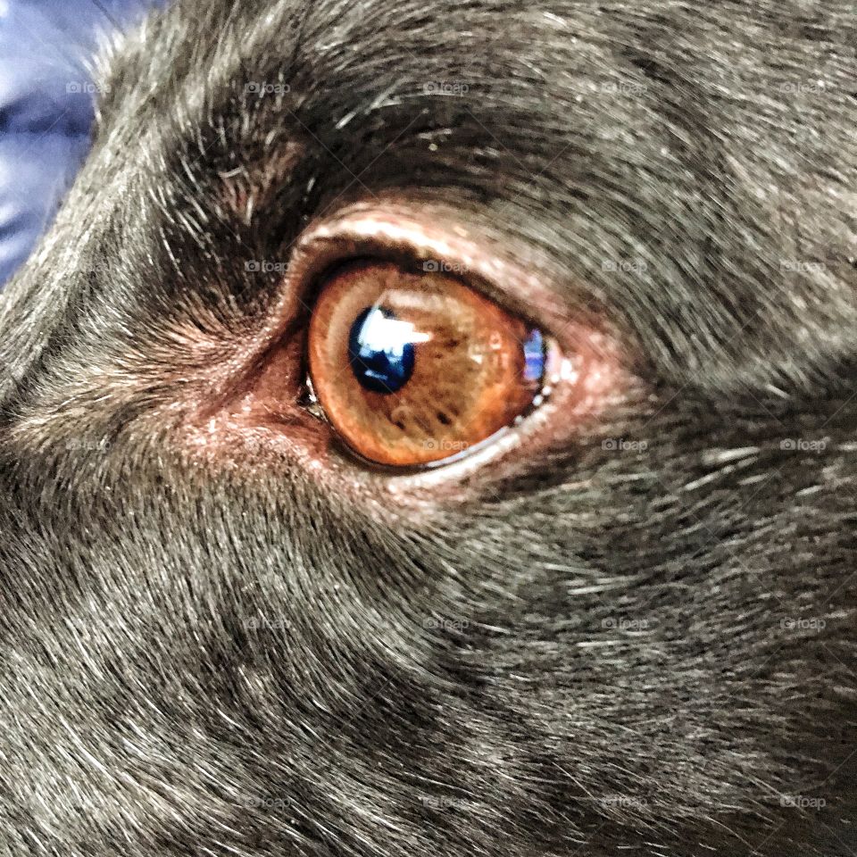 Incredible reflections 