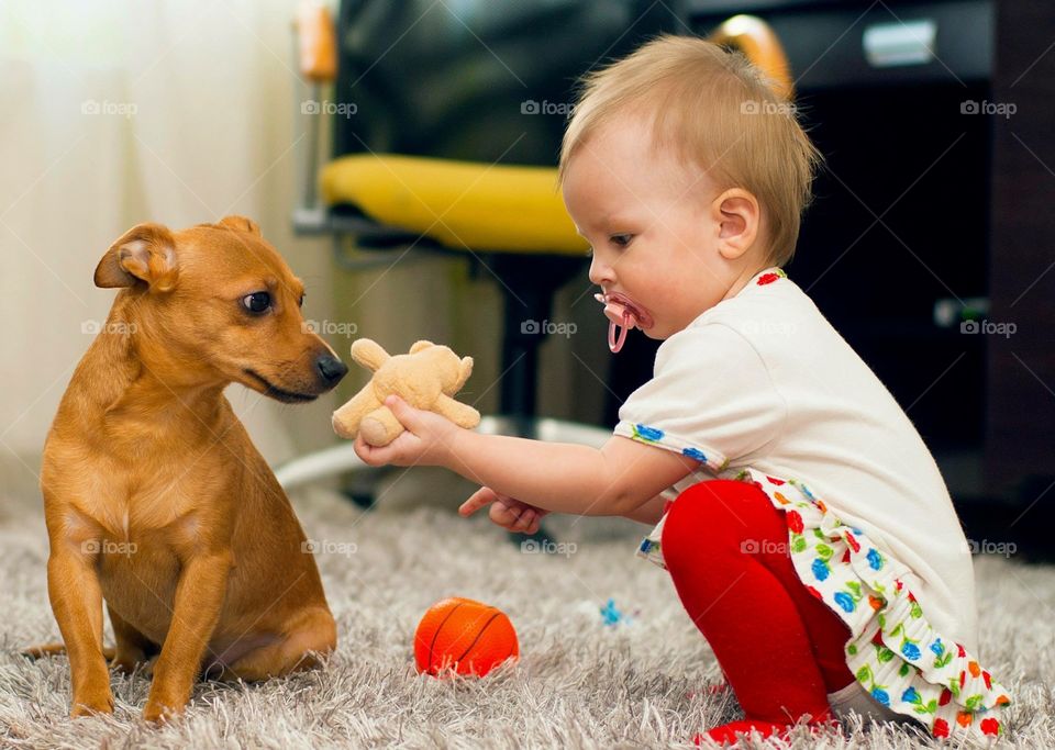 My daughter play with dog