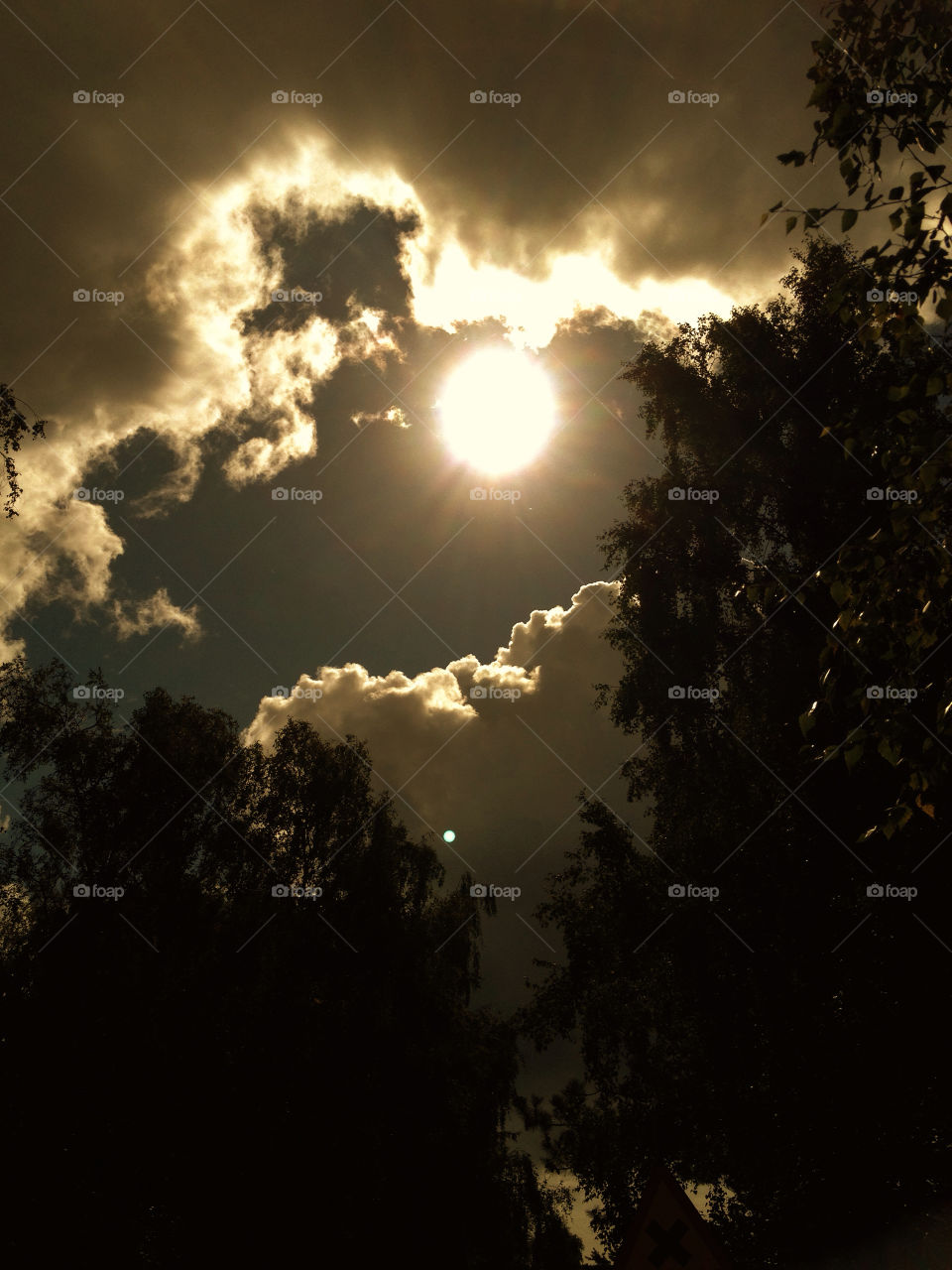 sky sunset clouds trees by elluca