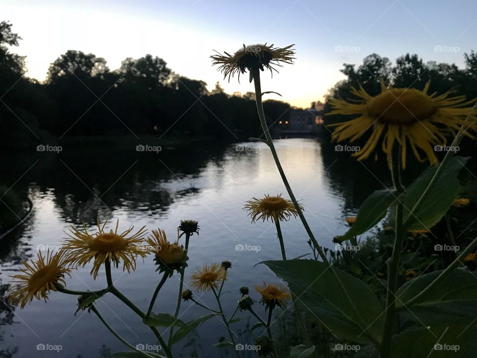 An evening in Lazienki Krolewskie Park in Warsaw 