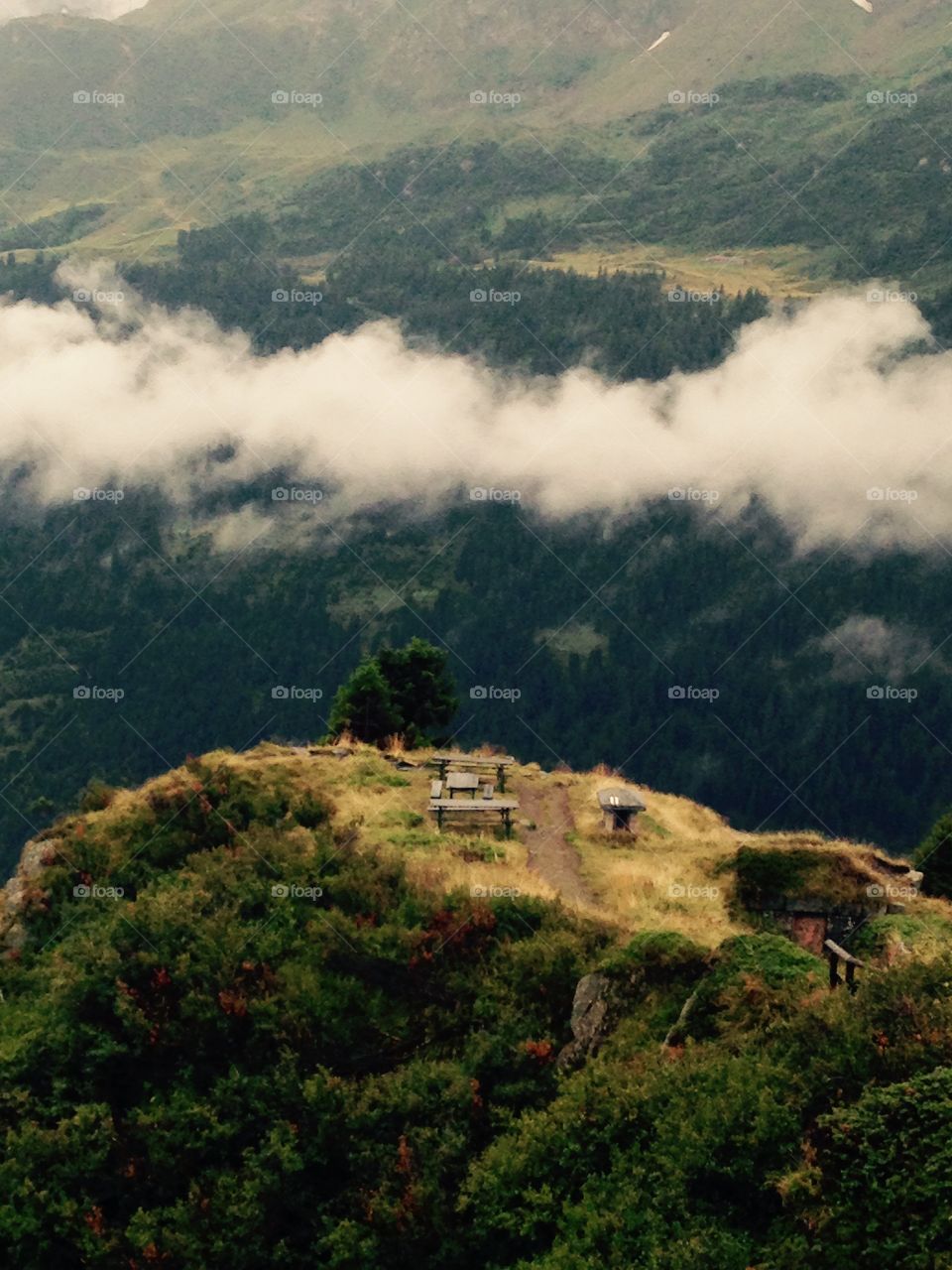 Lonely in the mountains