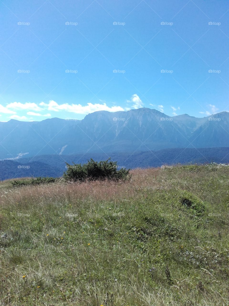 View from Clabucetul Taurului Peak