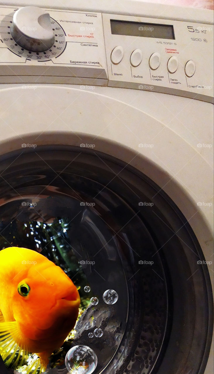 Washing machine and fish