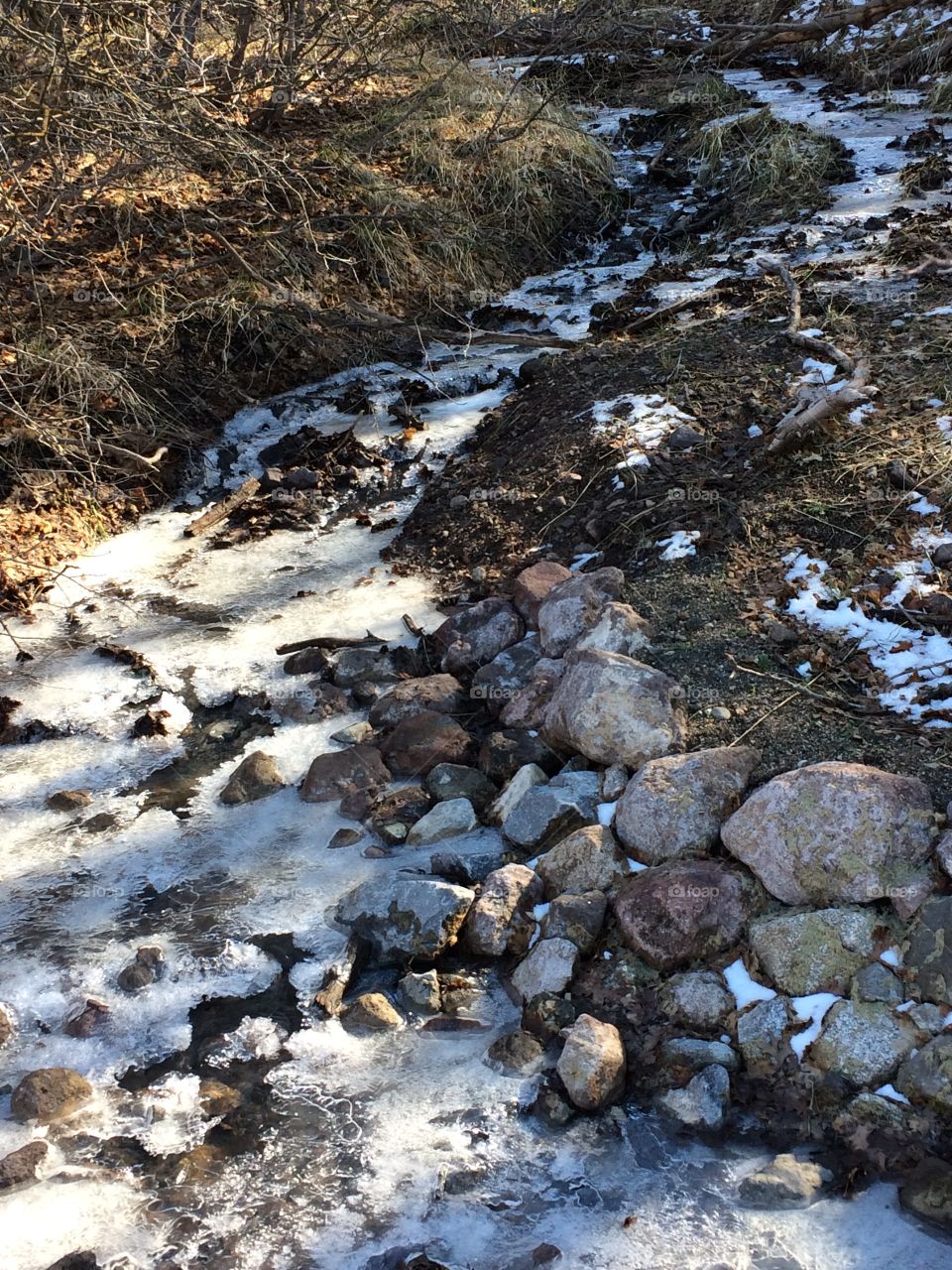 Frozen creek 
