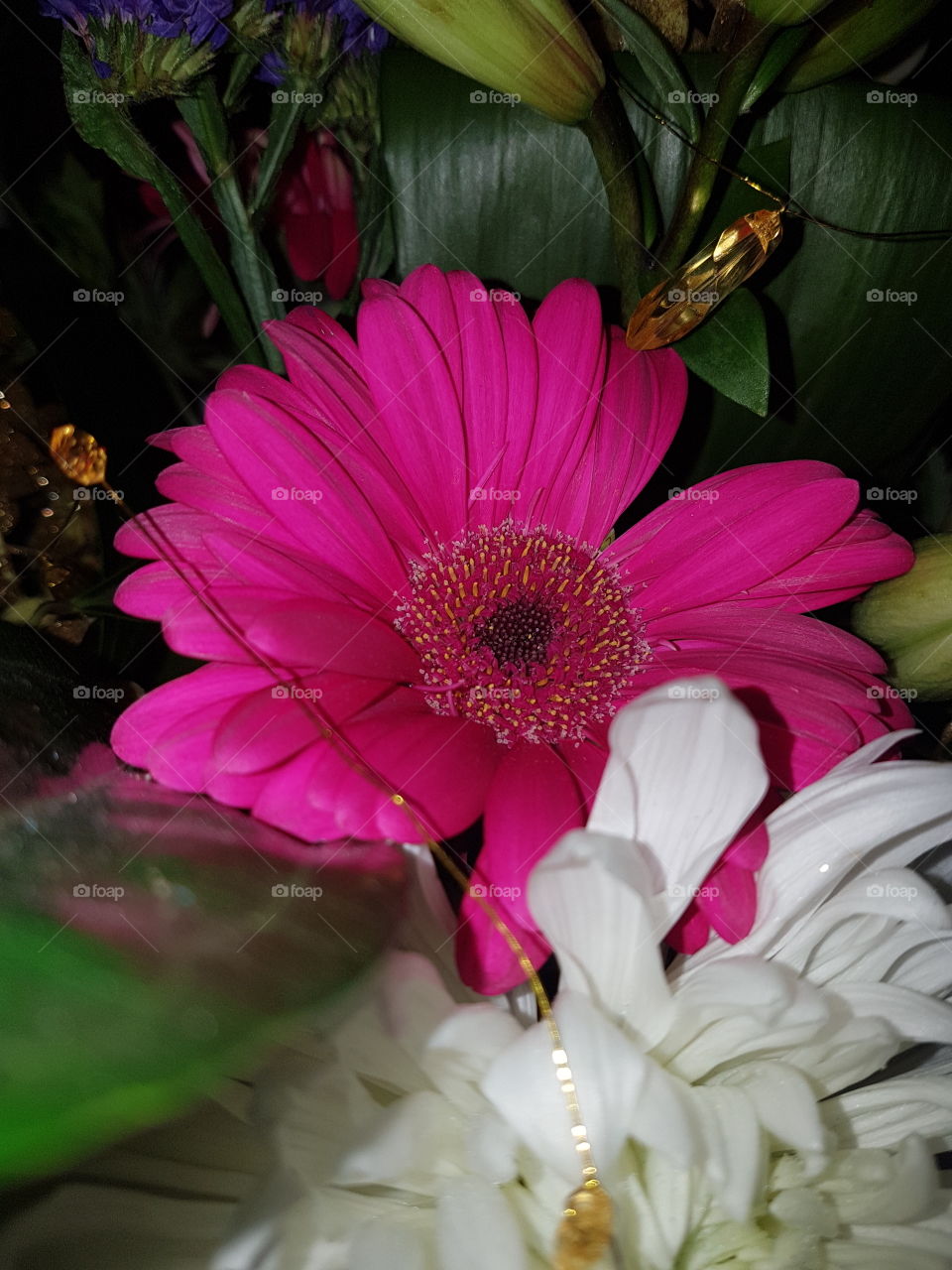 Beautiful pink flower