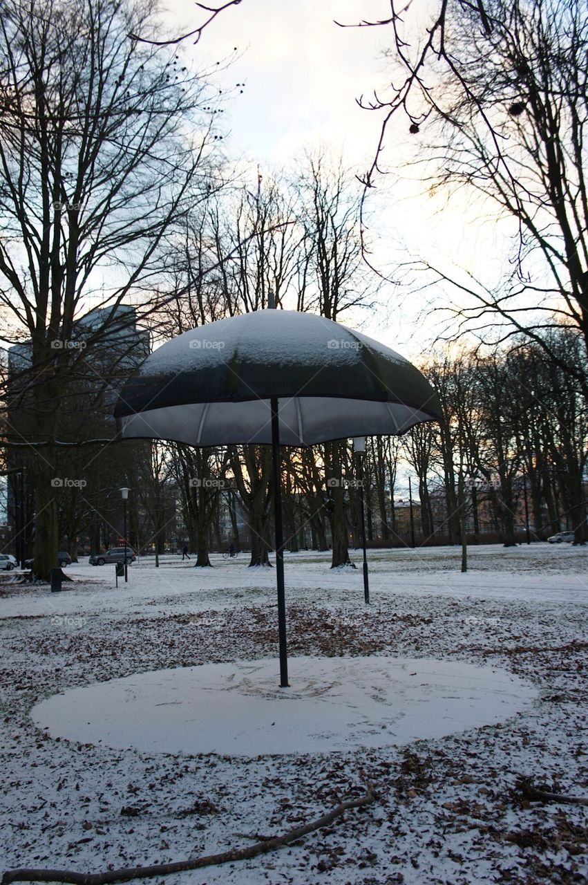 Winter in the park