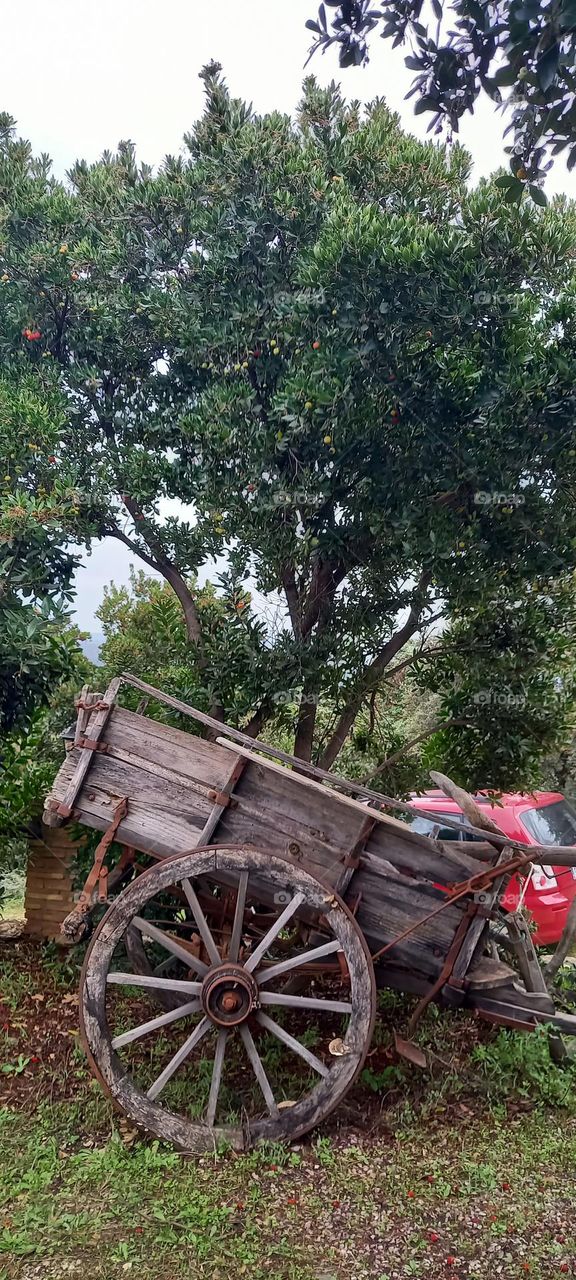Carro de labranza completo