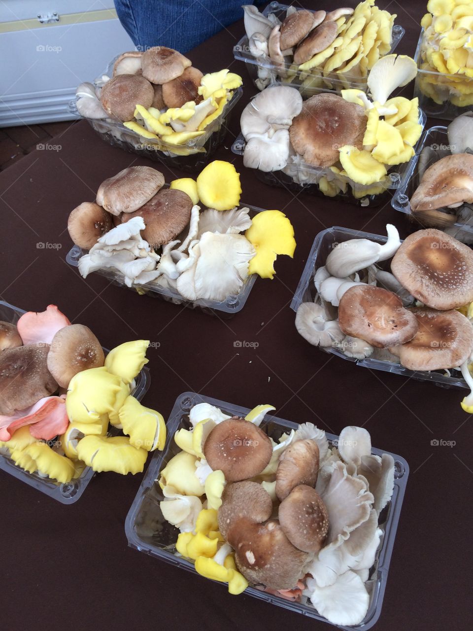 
Mushroom varieties at Madison, Wisconsin, weekly farmers market. 
