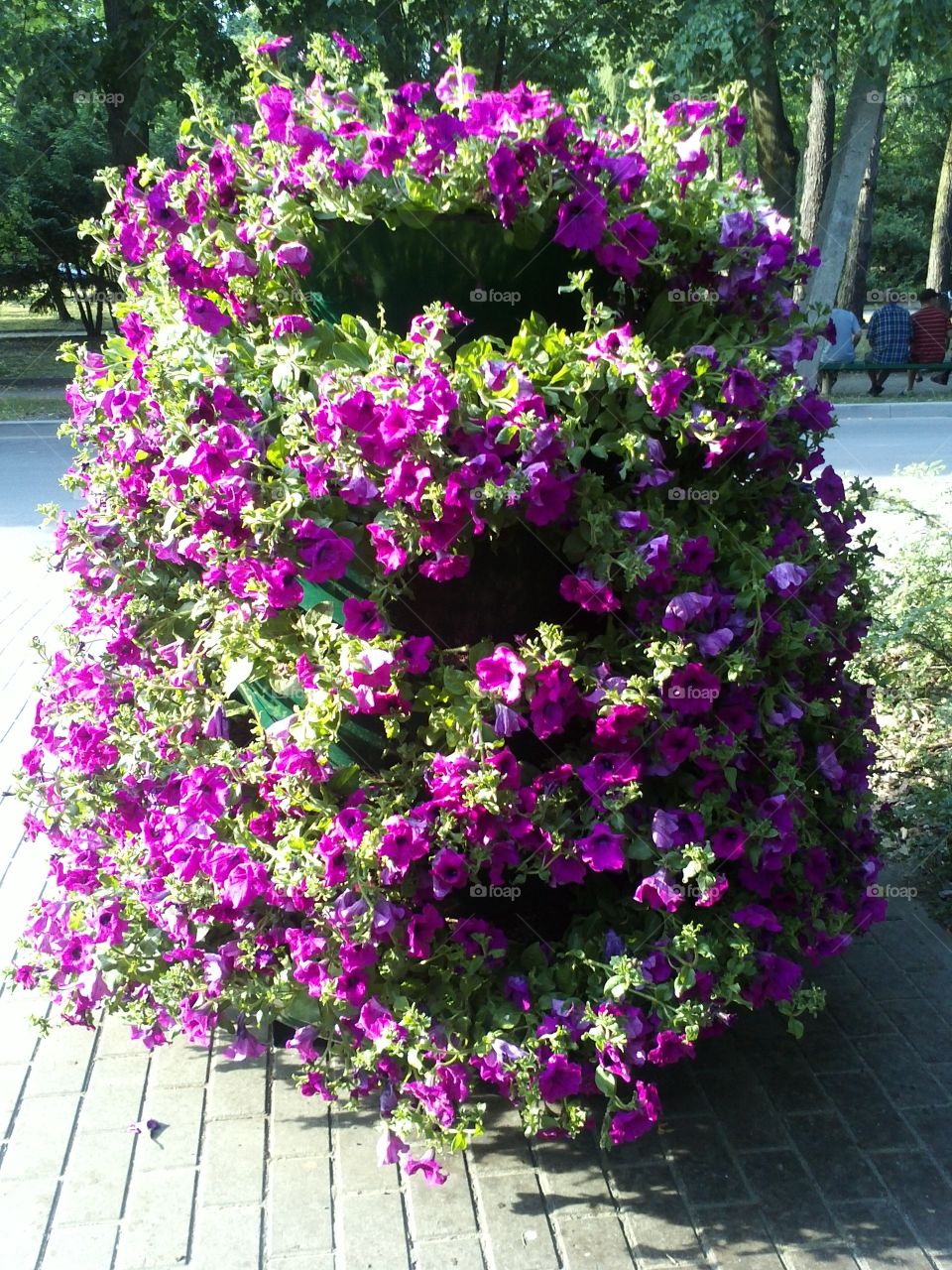 Sweet pea. summer decor