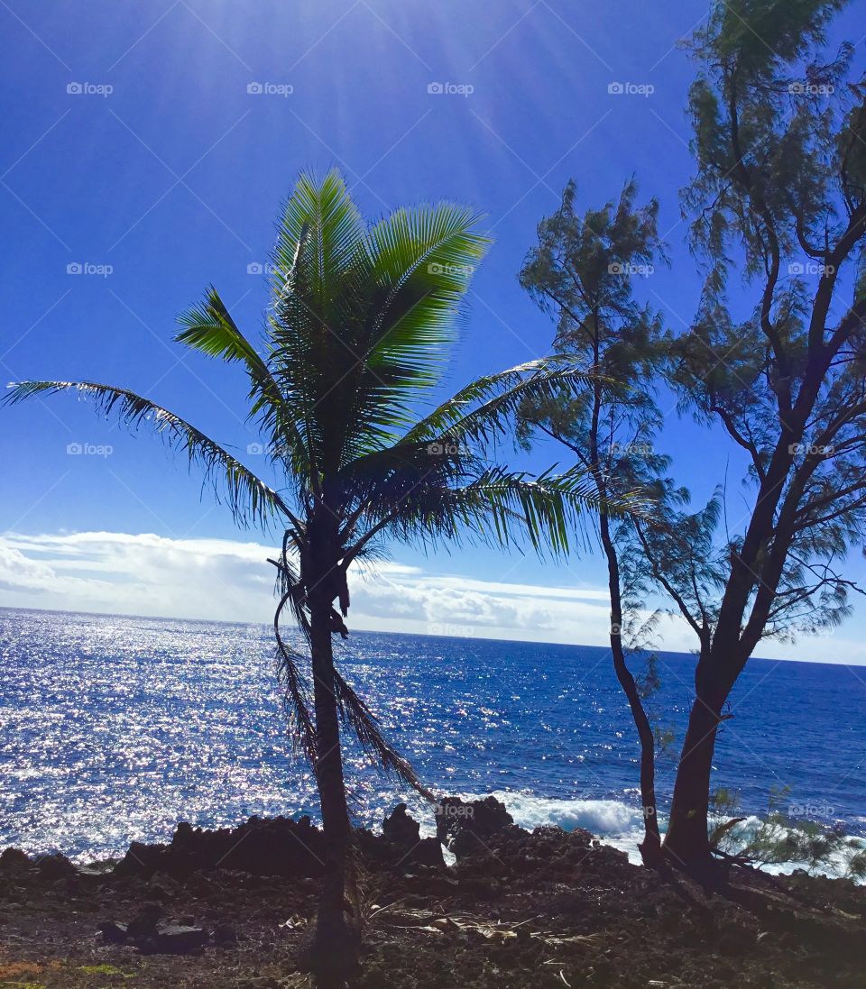 Sunny day in Hawaii