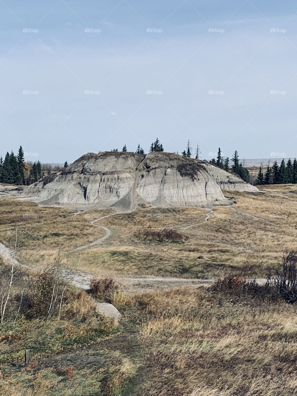 The hoodoo hills 