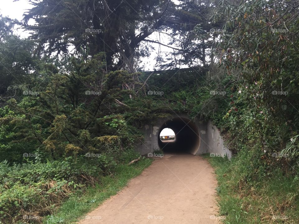 Tunnel to the beach