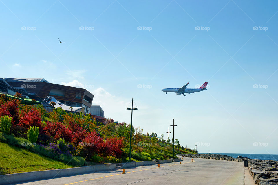 the landing airplane. an airplane is landing on a sunny day in the airport on the seaside in Istanbul