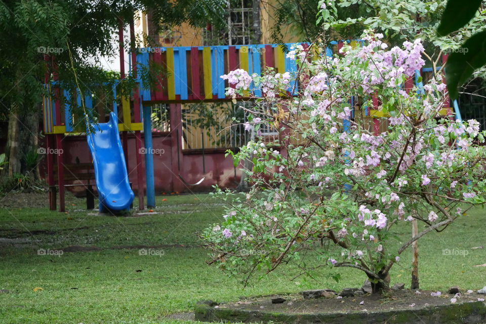 play land park área in my neighborhood