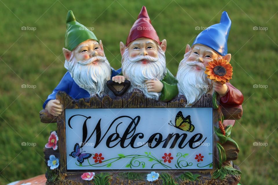 Welcoming gnomes.  