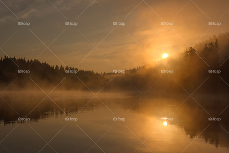 Foggy lake at sunrise
