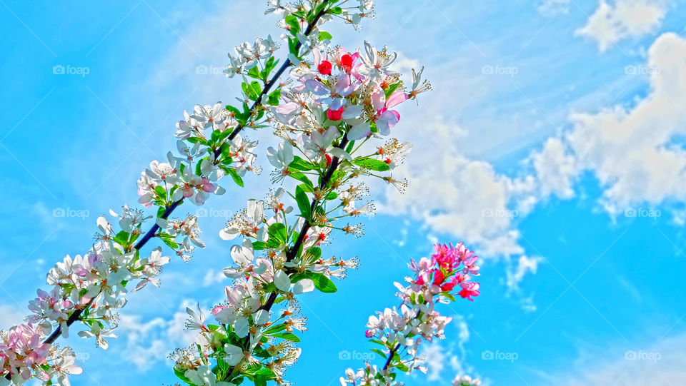 Today is a sunny day