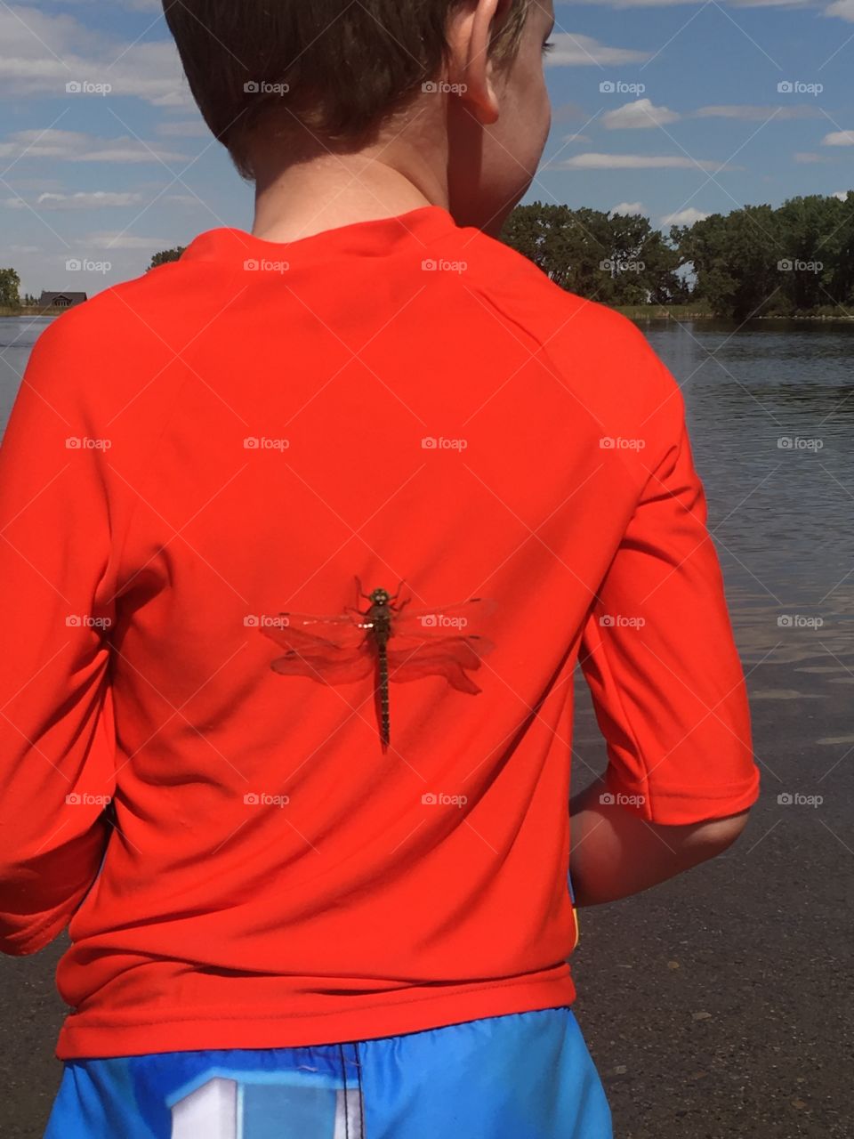Dragonfly beach buddy 