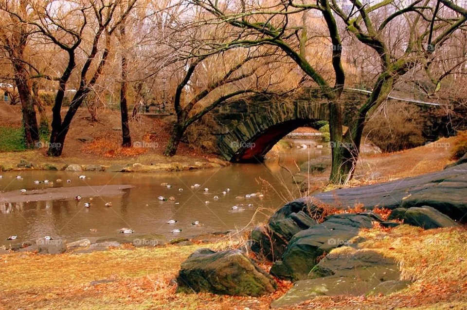 Autumn season 