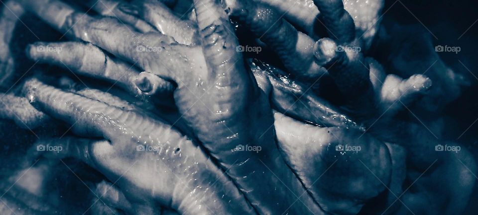 Black and white chicken legs