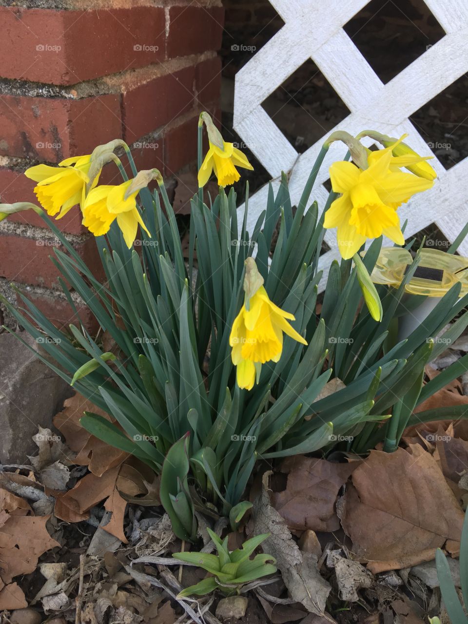 Spring is on its way I see it popping up all over the place! The colors are erupting!!!