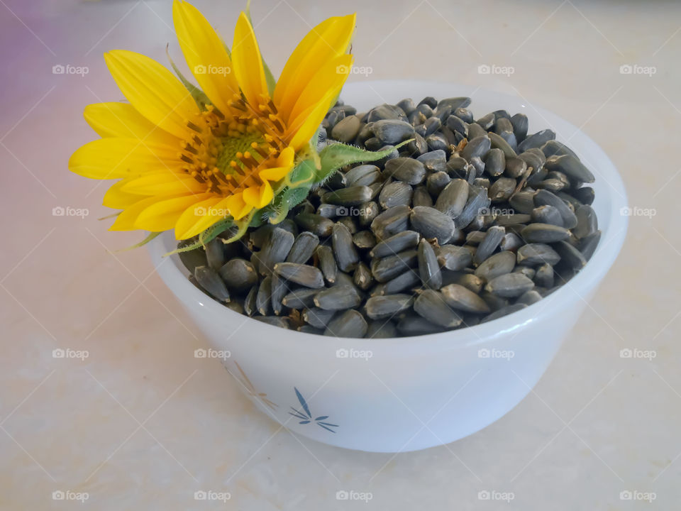 Sunflower and Seeds