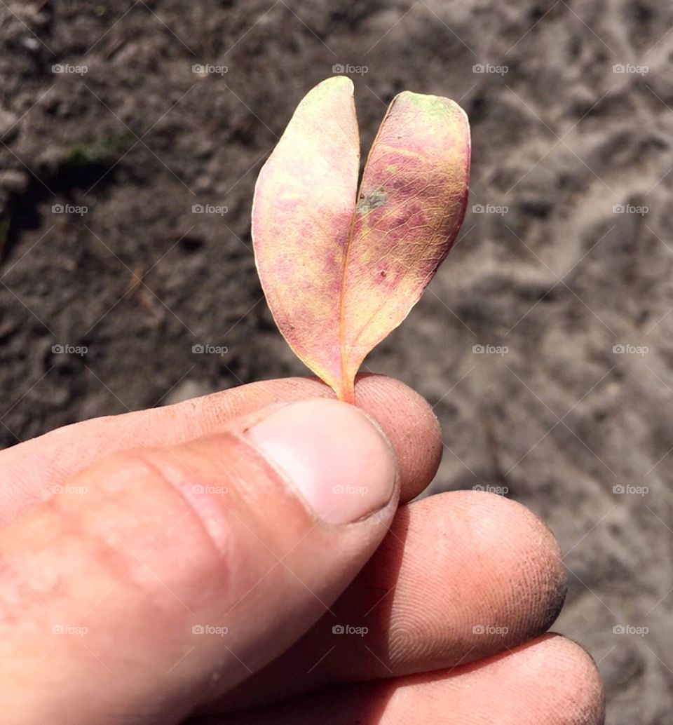 This is MyStyle. Love nature. Love each other. No need for flashy things. Look around and you will find beautiful ways to express your love.