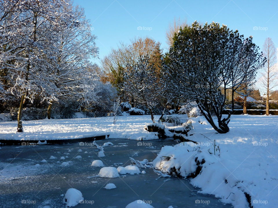 Frozen pond