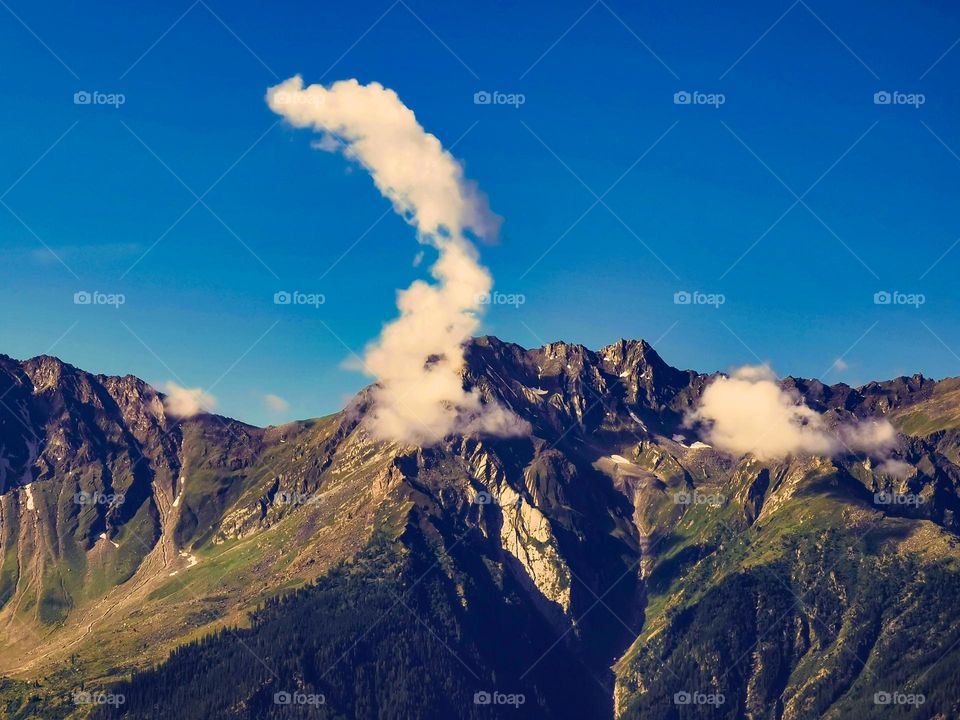 Nature's graceful view