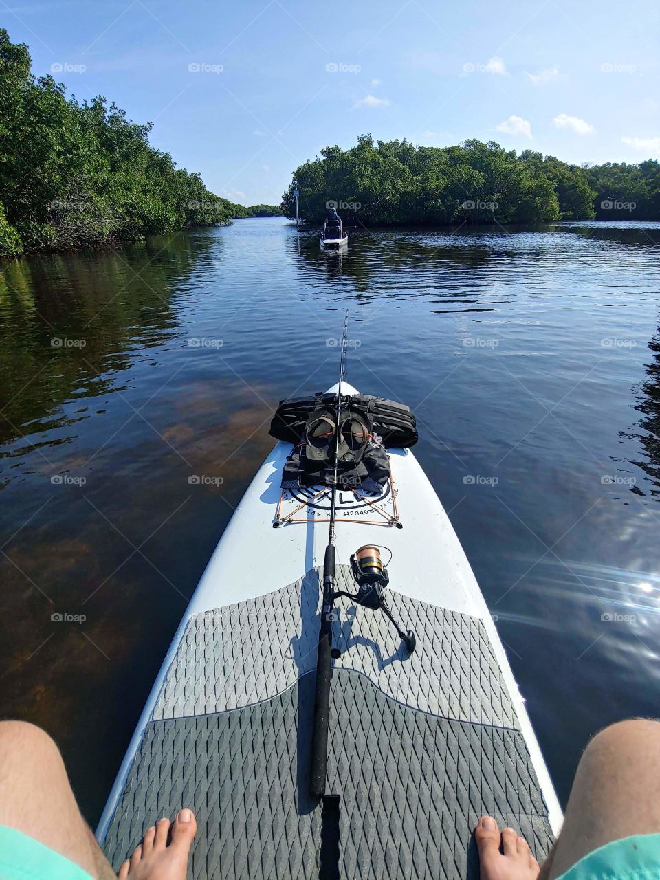 paddle board fishing in central florida. surrounded by mangroves!