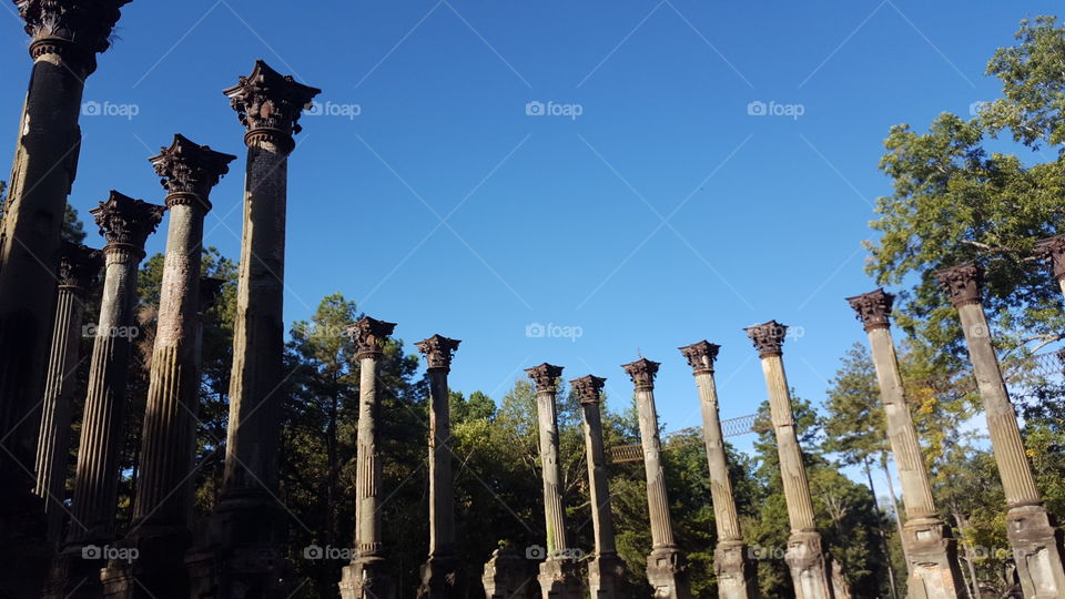 Windsor Ruins in Claiborne County, Mississippi